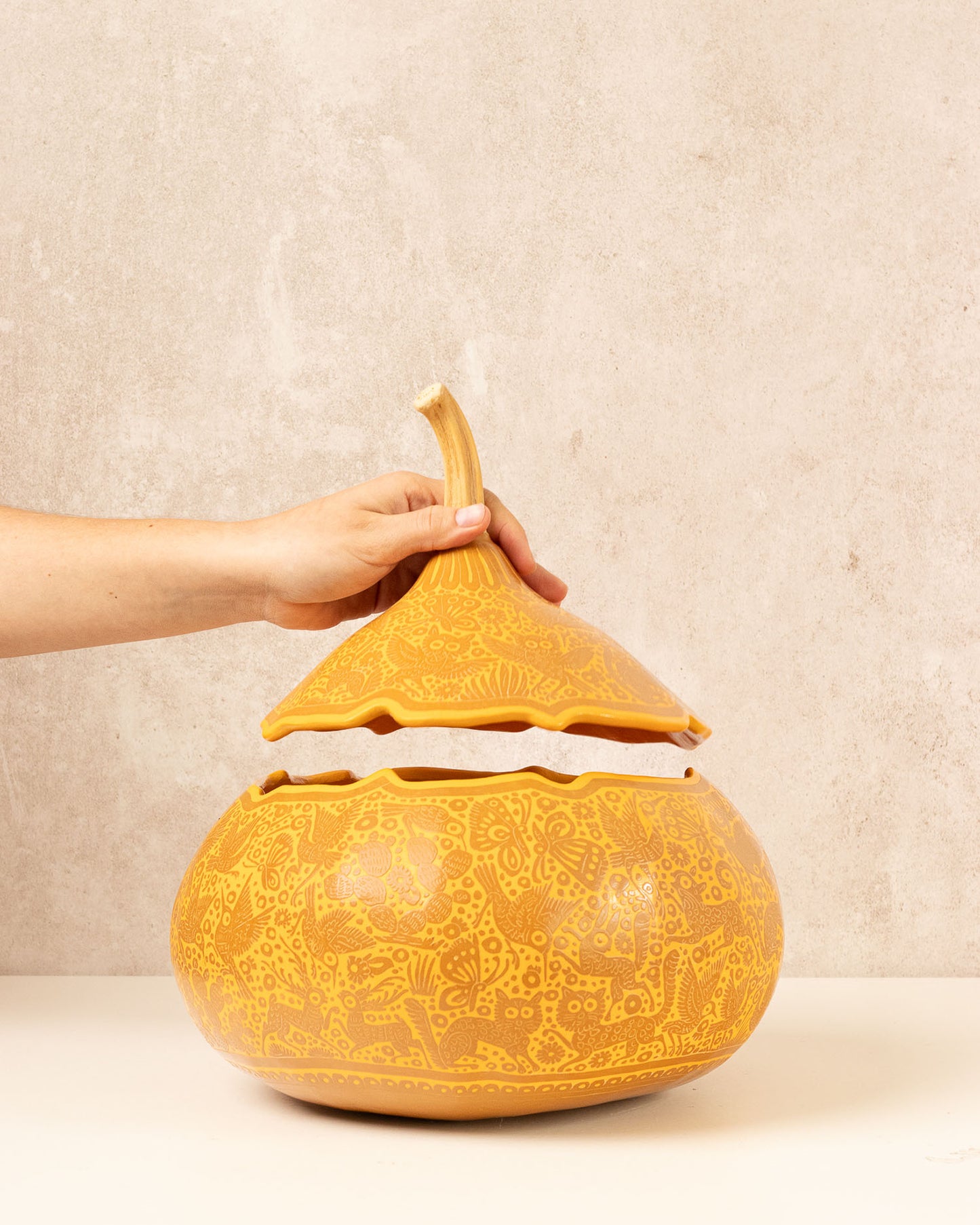 Guaje "Místico Amarillo"