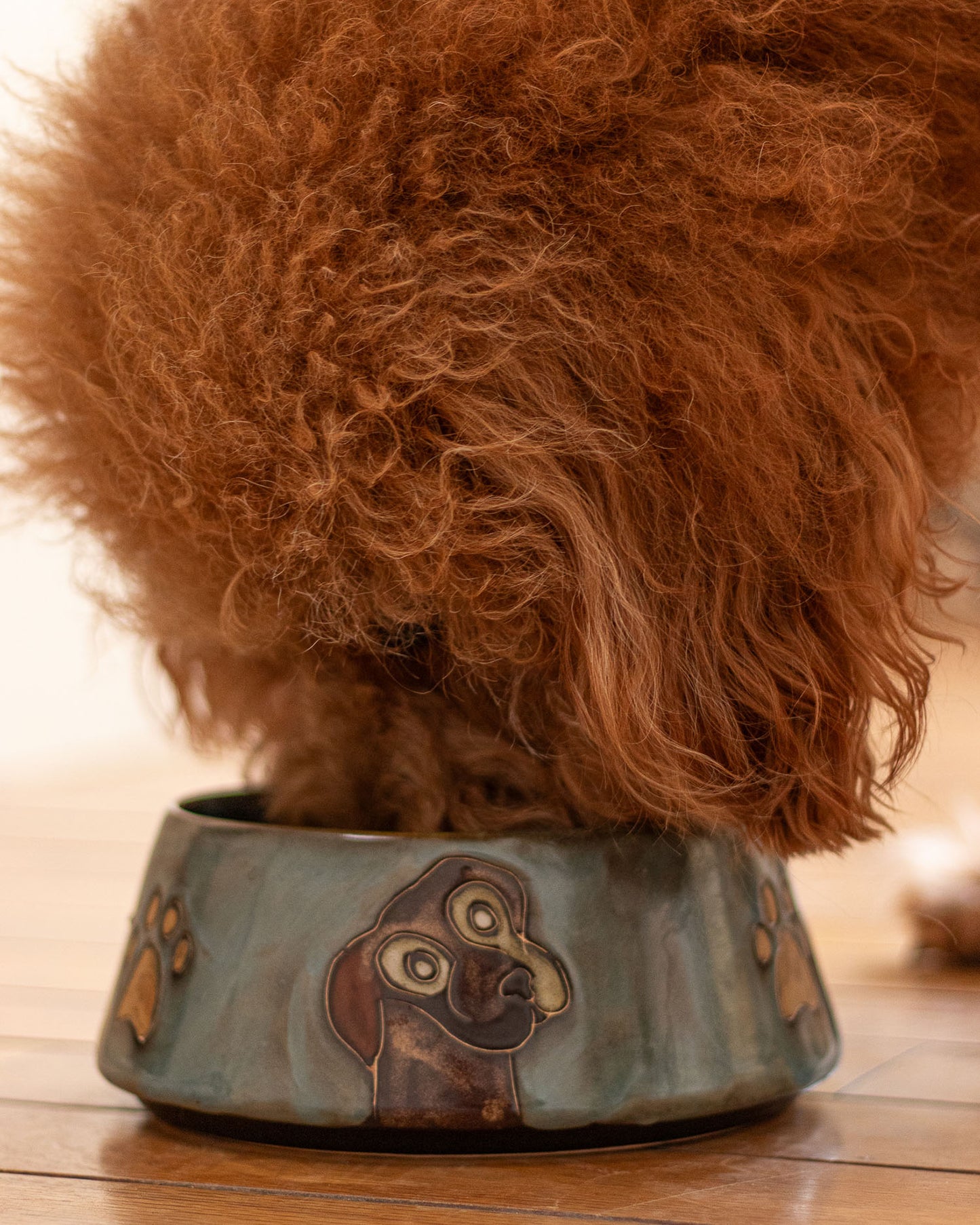 Large Pet bowl