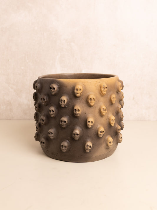 Small Skull Base