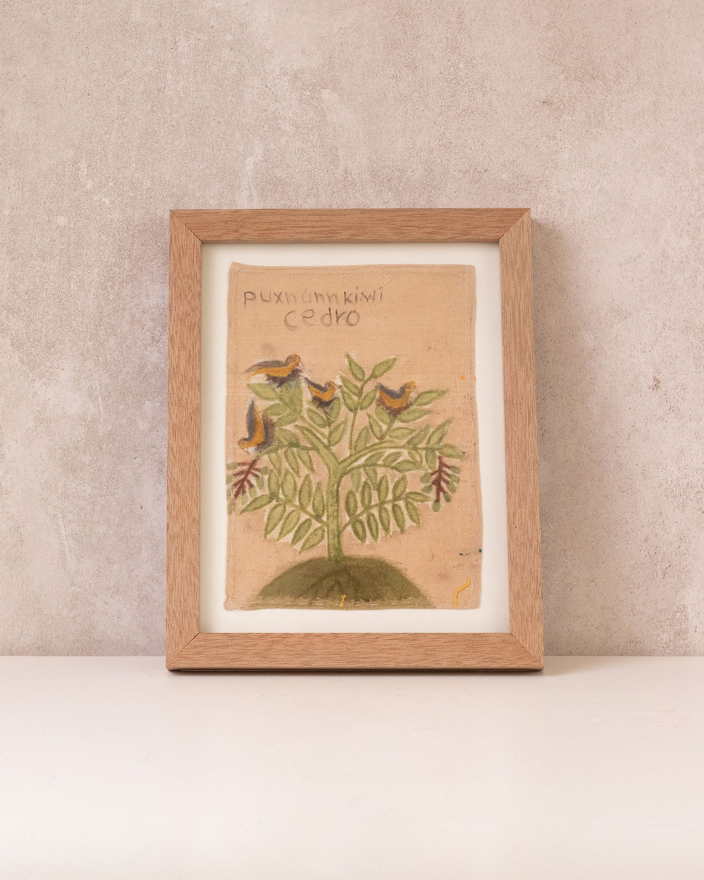 Lienzo "Cedro"