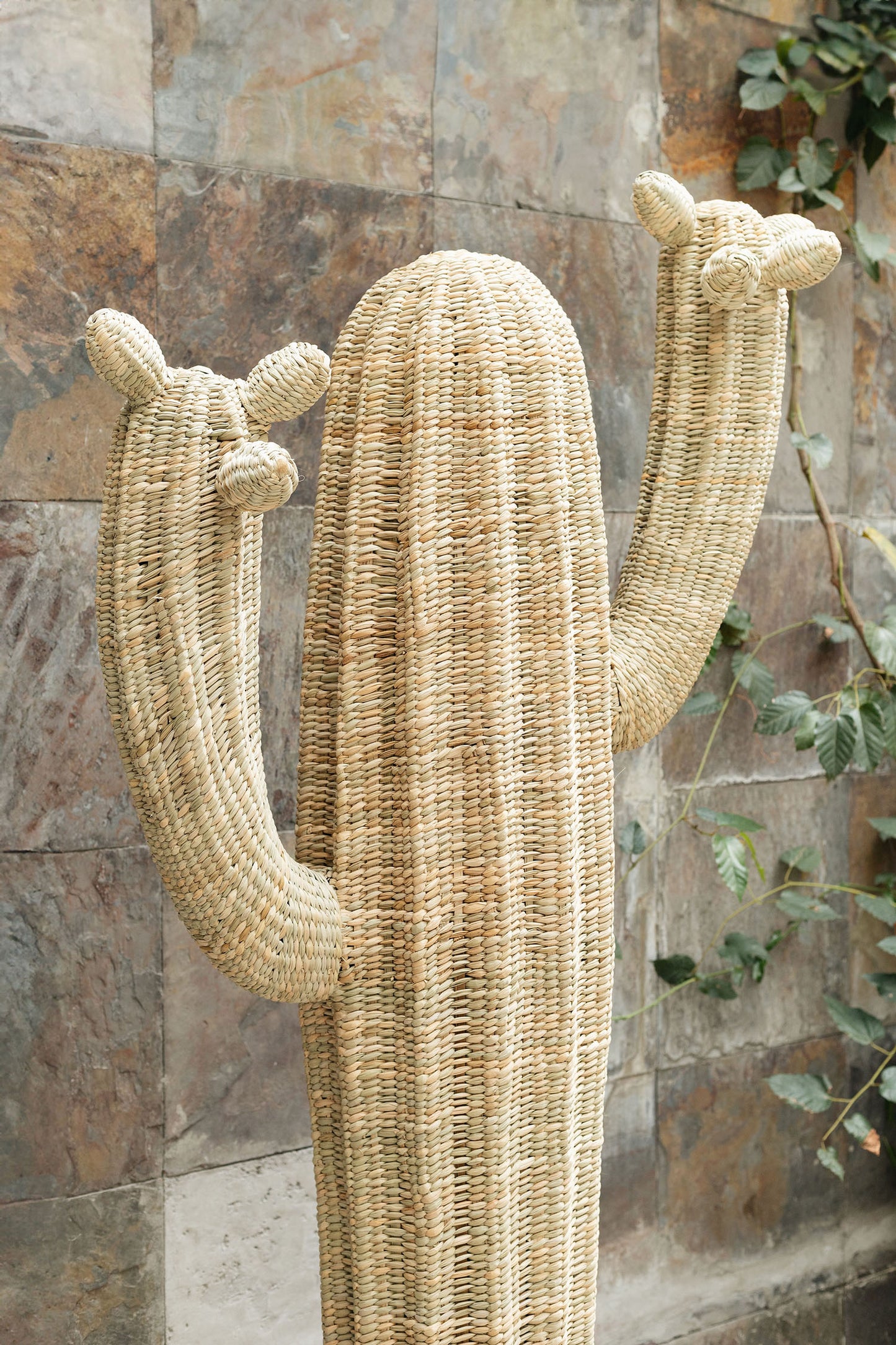 Mr. Cactus Natural Fibers with an iron base