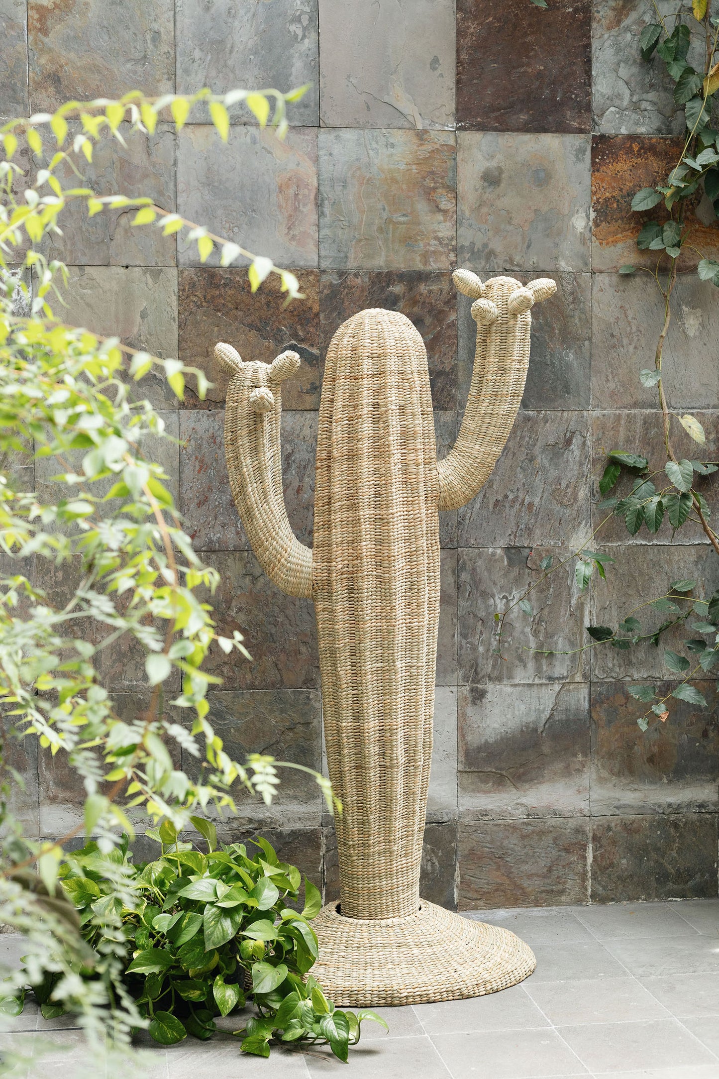 Mr. Cactus Natural Fibers with an iron base