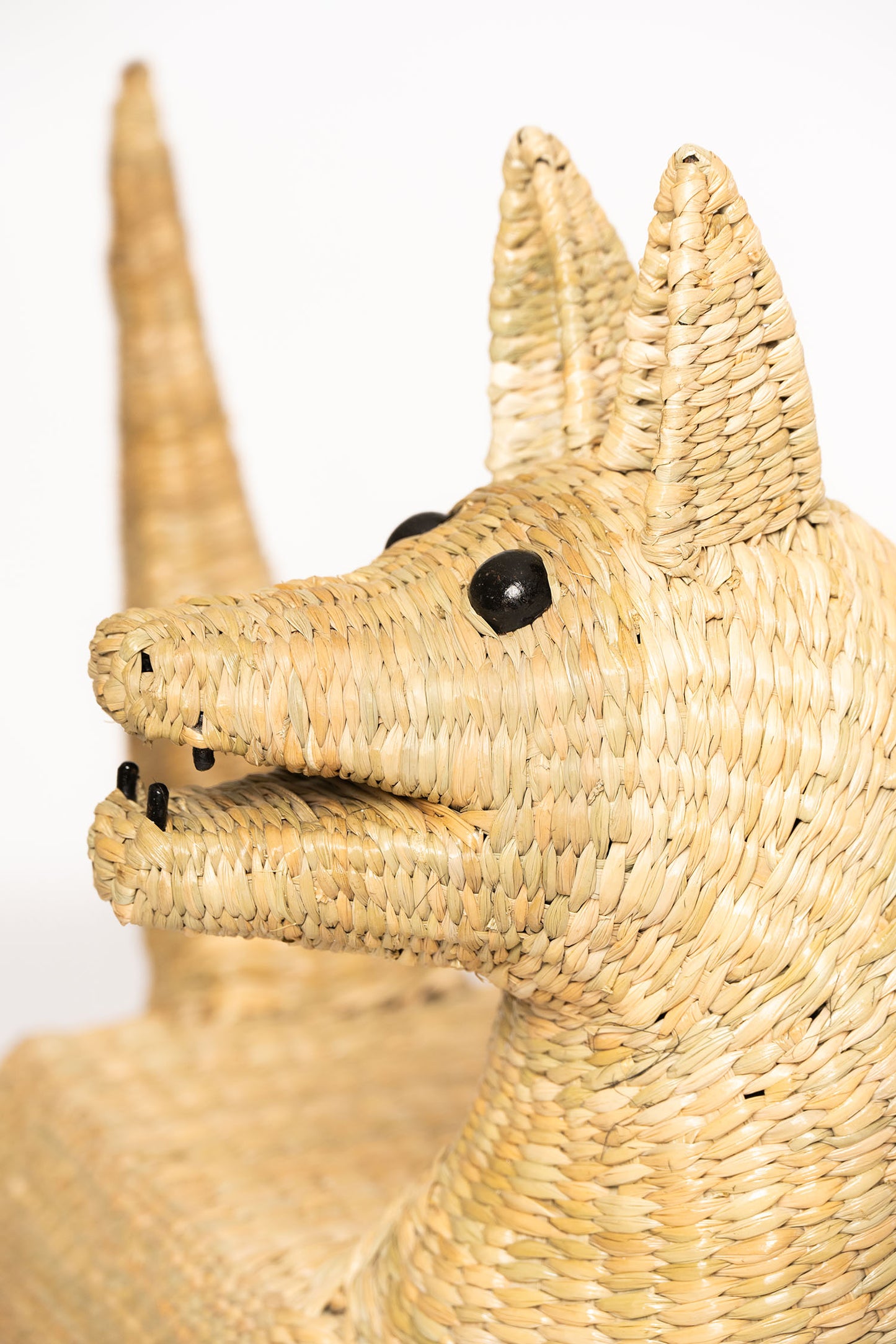 Coyote Sculpture made with natural fibers with an iron base